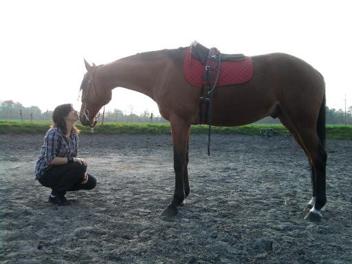 Photo de profil de ladynight