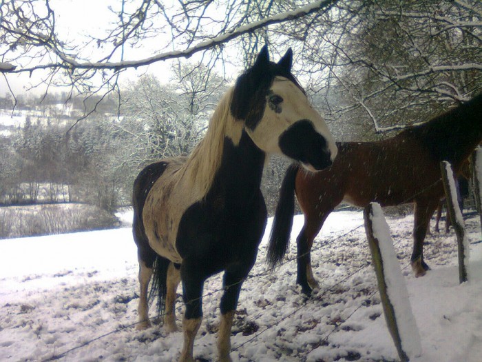 Photo de profil de laujusam