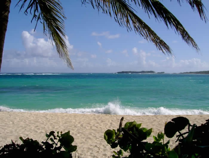 Photo de profil de dadaland