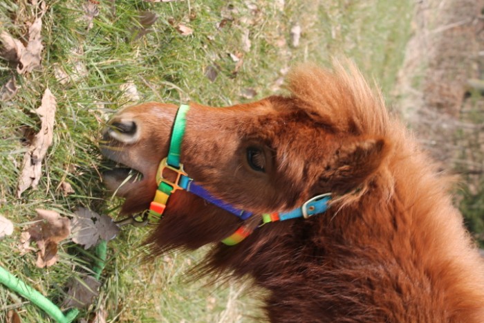 Photo de profil de biduleolivia