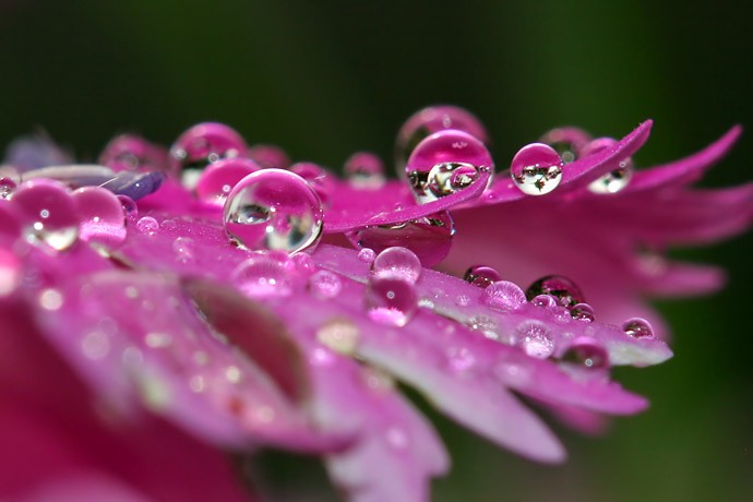 Photo de profil de canterbury