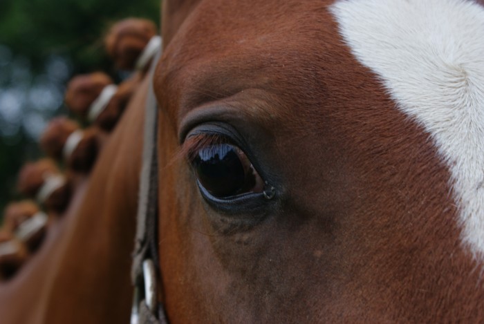 Photo de profil de cosettemes
