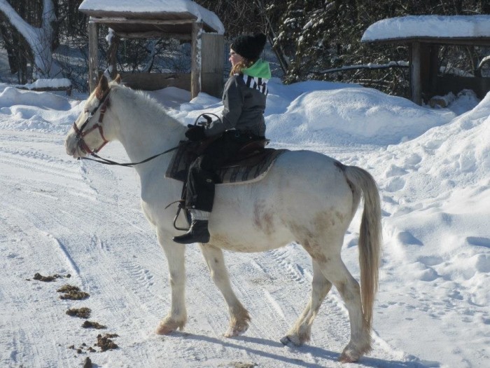 Photo de profil de jazzhorse