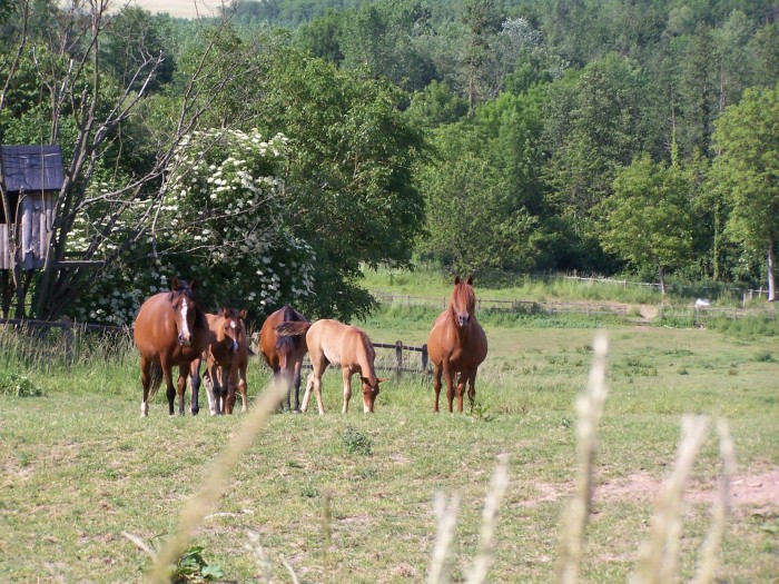 Photo de profil de valee