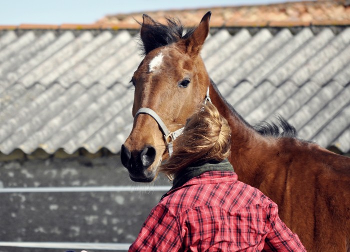 Photo de profil de annesophie.u