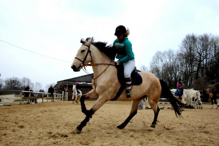 Photo de profil de floriane_s