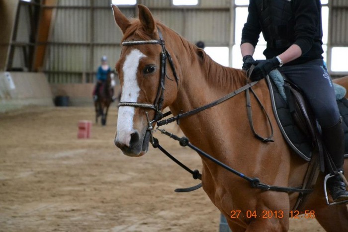 Photo de profil de noemieham