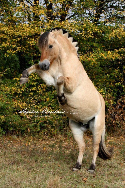 Photo de profil de emmaoscar
