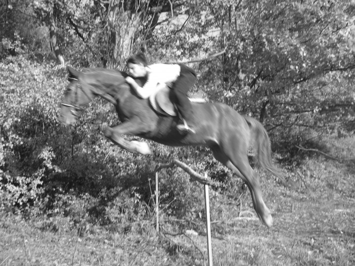 Photo de profil de equinice