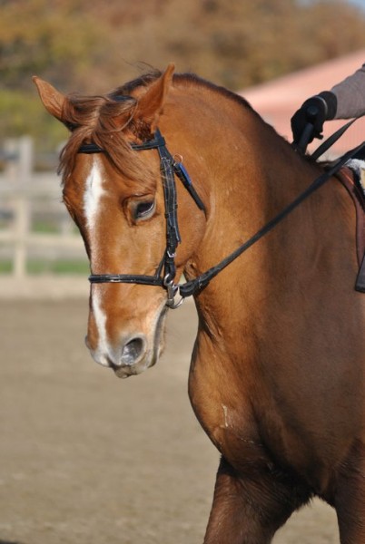 Photo de profil de vero82