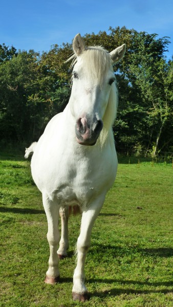 Photo de profil de capucine18