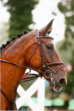 Photo de profil de charloth