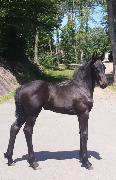 Photo de profil de illustrine