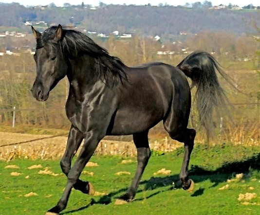 Photo de profil de faimilie