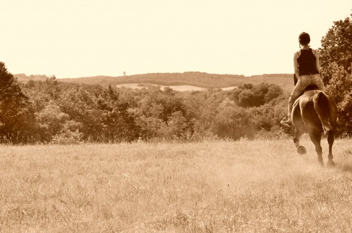 Photo de profil de heleneelsa