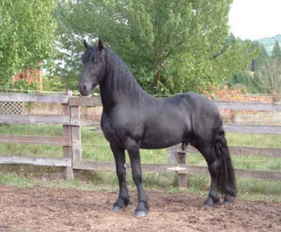 Photo de profil de nouvelle_80