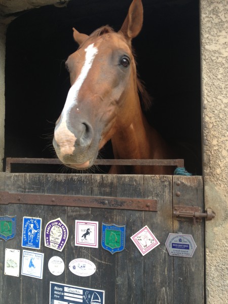 Photo de profil de laura095