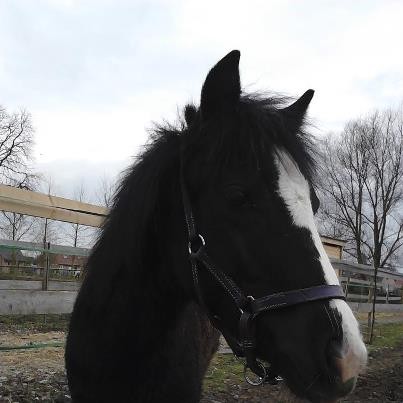 Photo de profil de elodie59