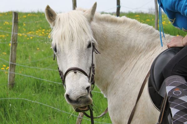 Photo de profil de florianned