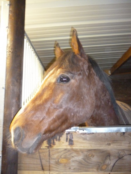 Photo de profil de cecezen