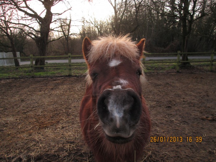 Photo de profil de ceriseficelle