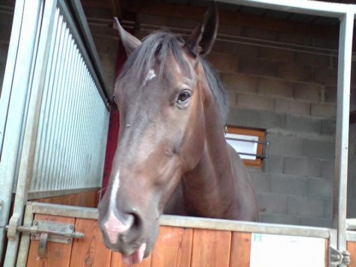 Photo de profil de denver_shweeps