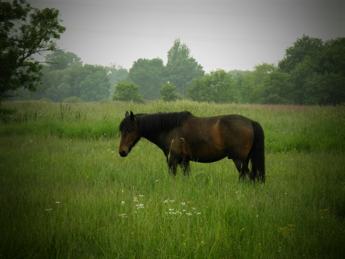 Photo de profil de malice...