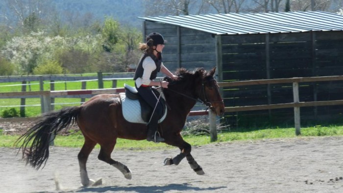 Photo de profil de leahorses