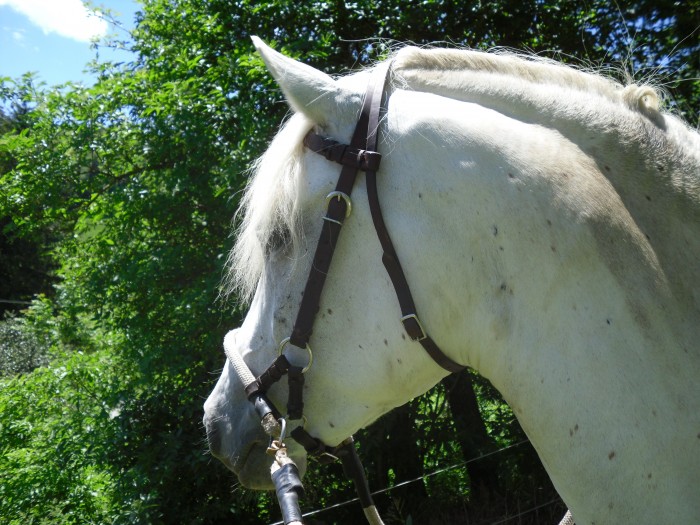 Photo de profil de nathuly