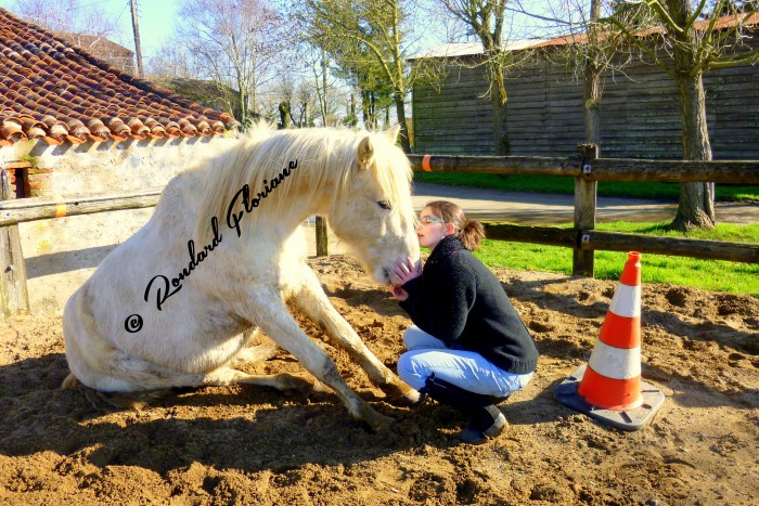 Photo de profil de flonounette