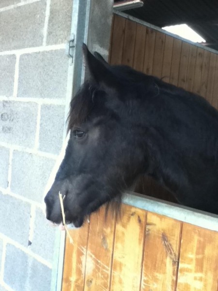 Photo de profil de luuuuu