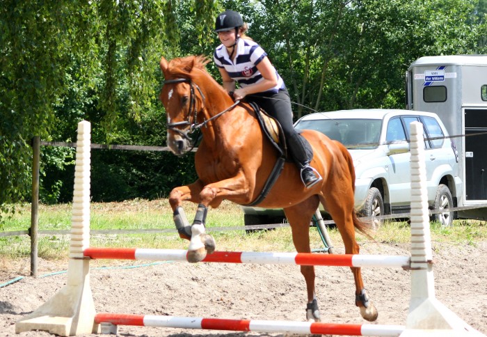 Photo de profil de marion77480