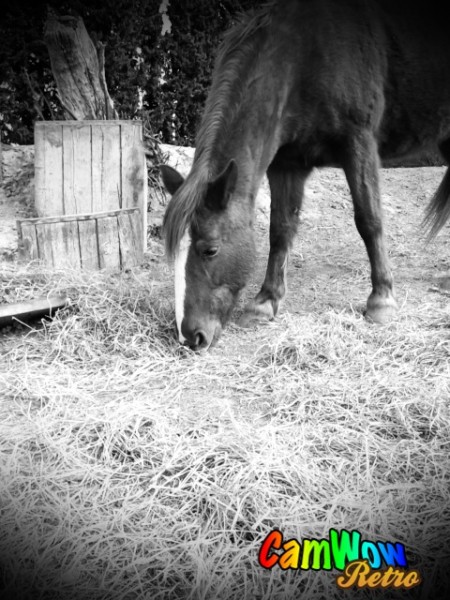 Photo de profil de emiaou