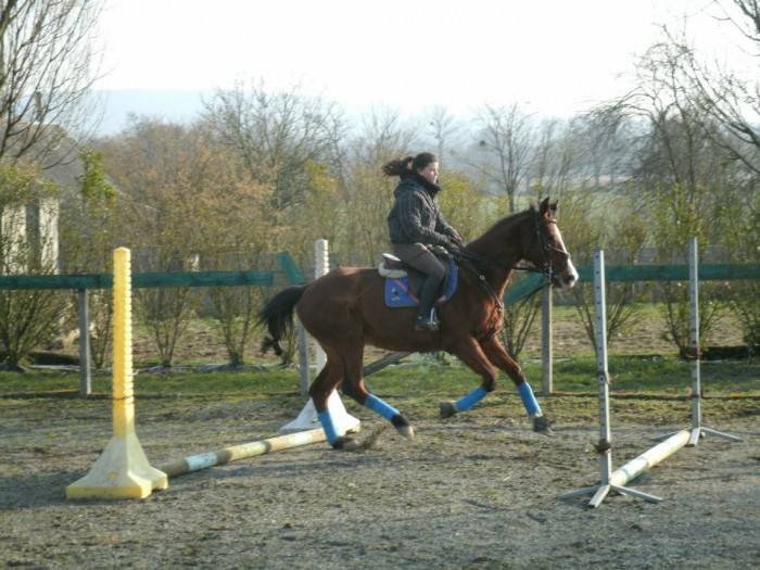Photo de profil de quentine03