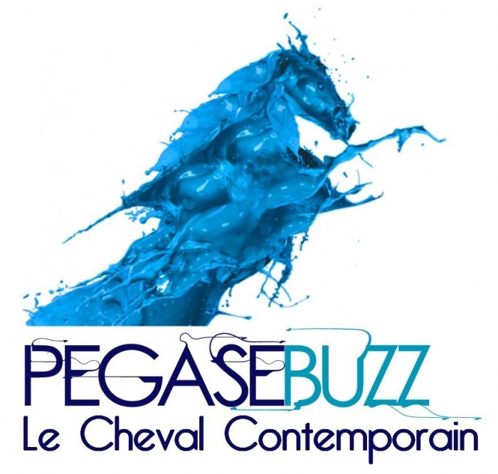 Photo de profil de pegasebuzz