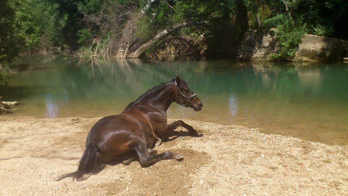 Photo de profil de doumeys