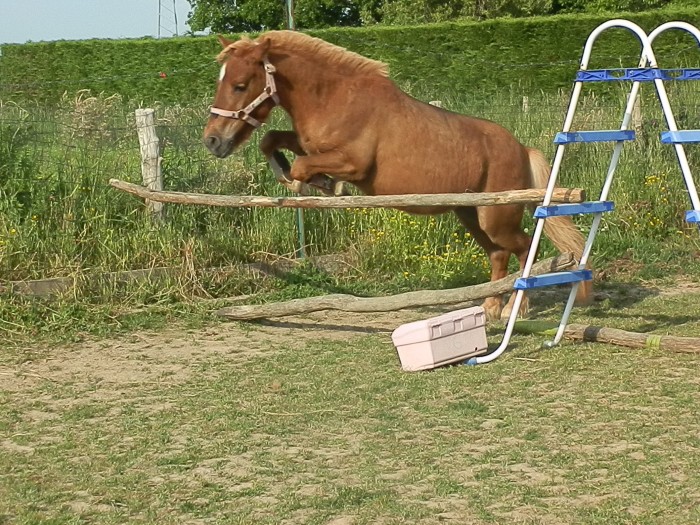 Photo de profil de etoilealisson