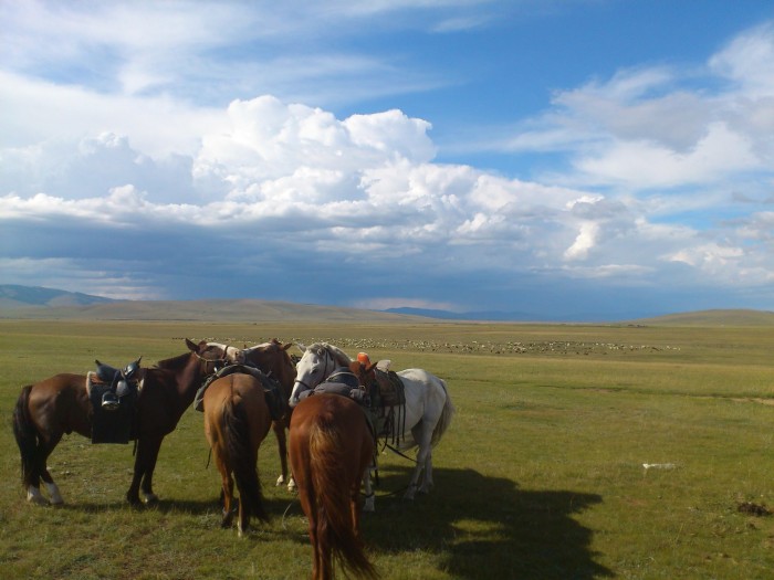 Photo de profil de cigonio
