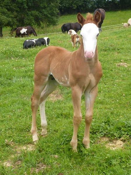 Photo de profil de fred33430