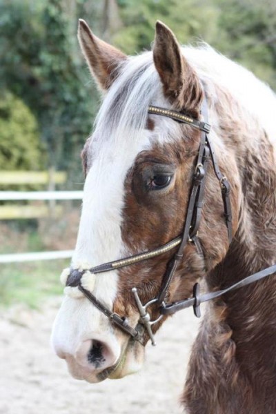 Photo de profil de texas_proprio