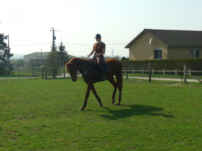 Photo de profil de anaisbonnaire