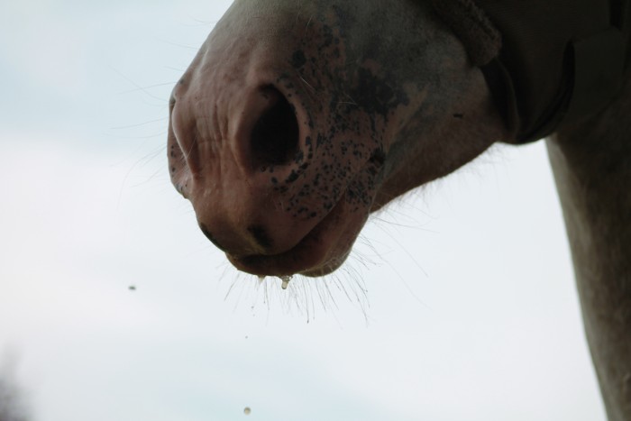 Photo de profil de marmone