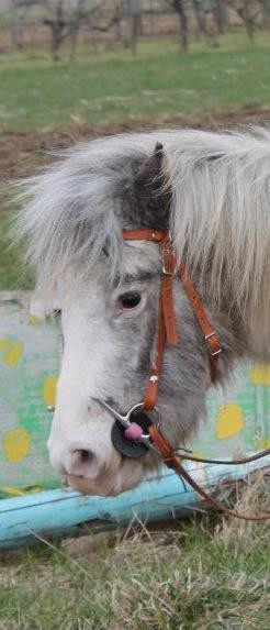 Photo de profil de aagaaathe