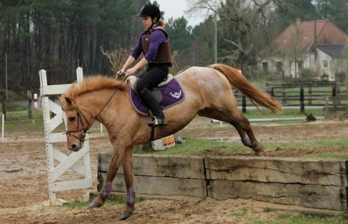 Photo de profil de iam.p