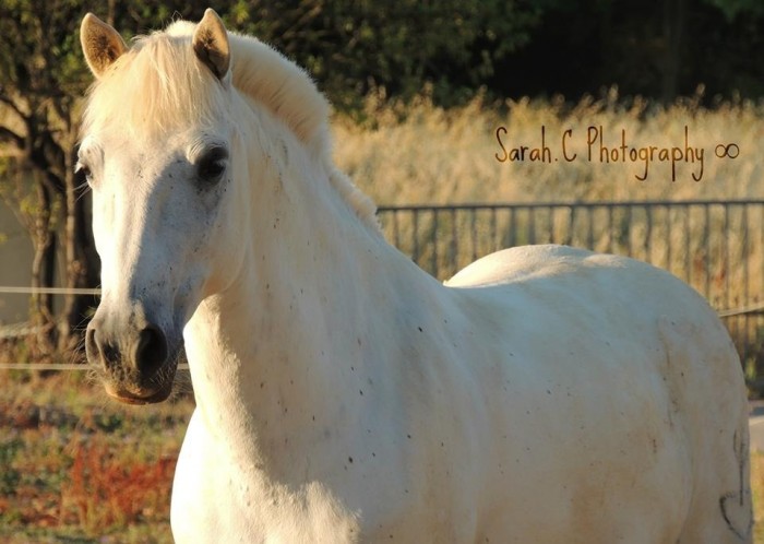 Photo de profil de savachaytoi34