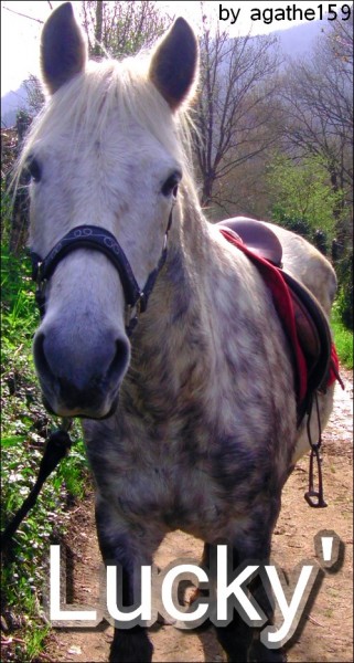 Photo de profil de agathe159