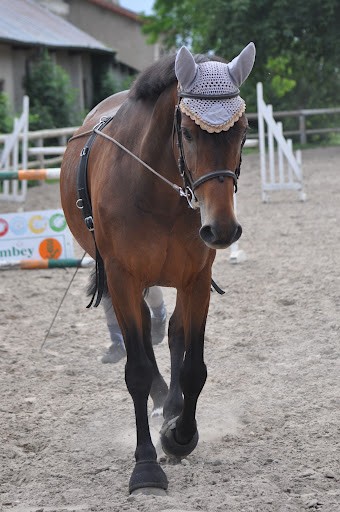 Photo de profil de nelsondelbosco