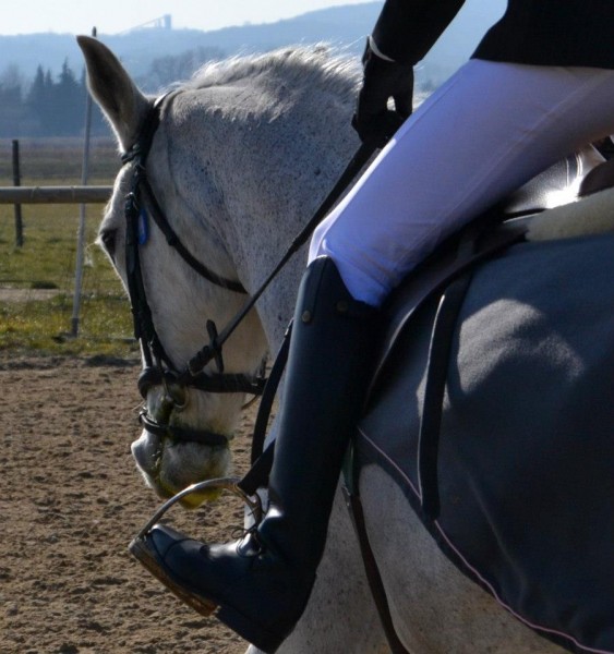 Photo de profil de romanedlc