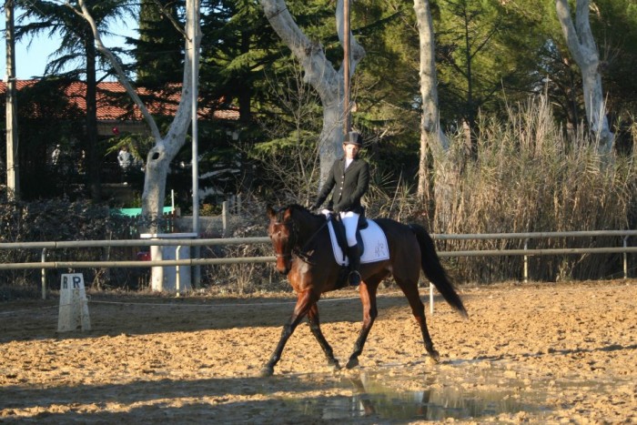 Photo de profil de marion07