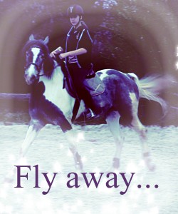 Photo de profil de xdodo